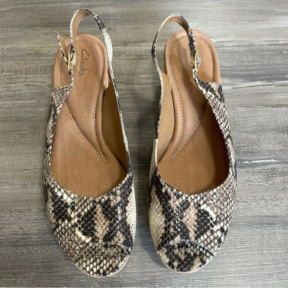 Clarks artisian snake